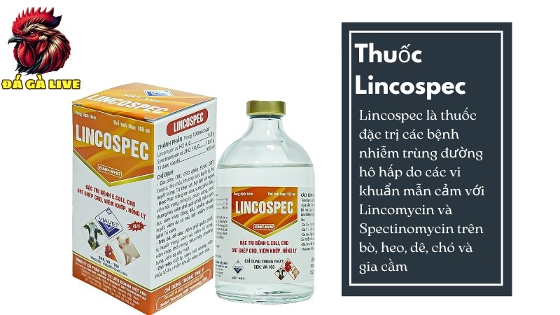 Thuốc Lincospec