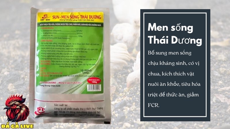 Men sống Thái Dương