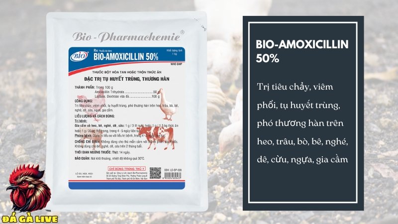 BIO-AMOXICILLIN 50%