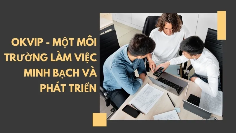 OKVIP - Một môi trường làm việc minh bạch và phát triển