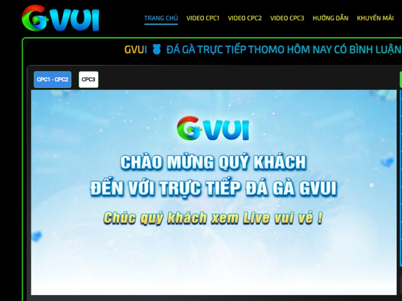 Tổng quan về nhà cái đá gà trực tiếp GVUI