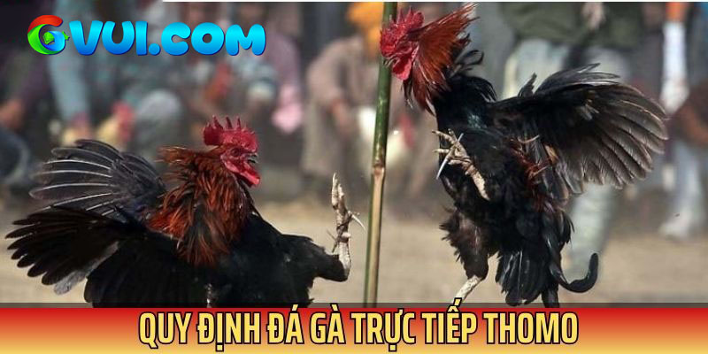 Các điều luật được quy định rõ ràng